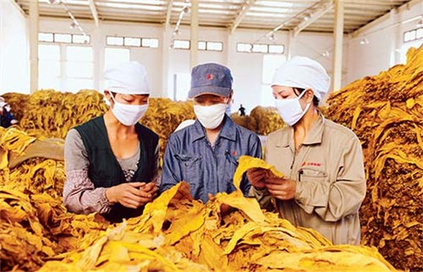 烟叶分级灯箱的色温和显色指数是多少？