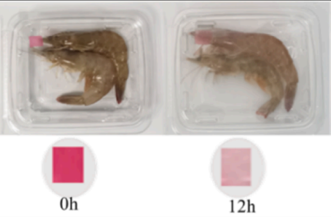前沿：快猫视频APP污在食品化学研究领域的应用