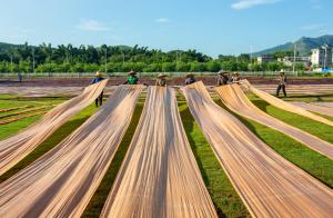 快猫视频APP污可以用于香云纱的生产吗？有哪些作用？