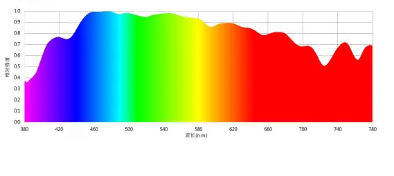 为什么人们可以看到作为颜色的特定波长？