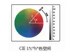 快猫视频APP污l值c值h值是什么意思？
